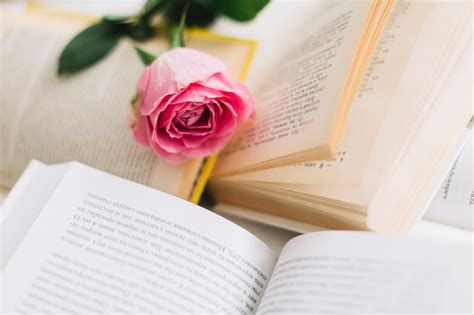 mooie roos op geopende boeken gratis foto