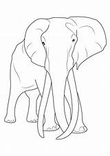 Elefanti Elefante Stampare Pianetabambini Singolarmente Versione sketch template