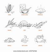 Groats Porridge Cereals Cornflakes Muesli Doodle Oat sketch template