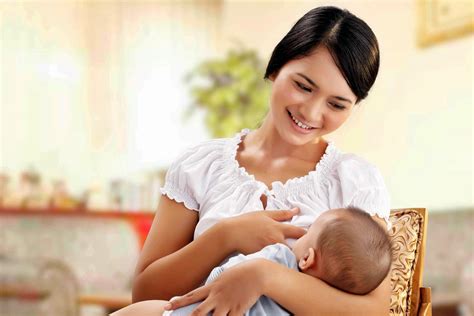 Tujuh Fakta Menarik Tentang Air Susu Ibu Asi Dan Menyusui ~ Susu S26