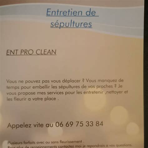 pro clean home