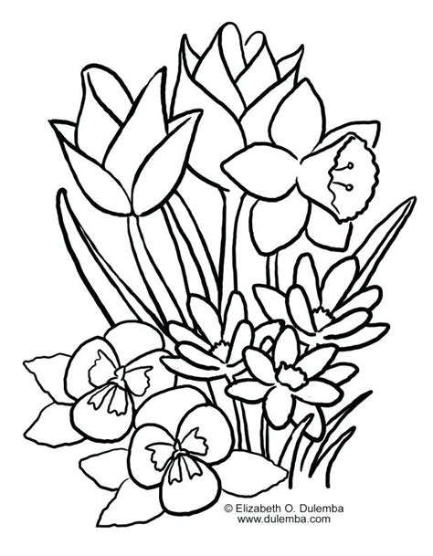 spring flowers coloring pages printable  getcoloringscom