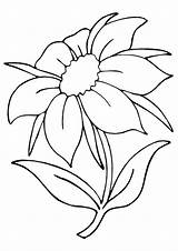 Jasmim Blume Ausmalbilder Absolute Grandiflorum Marigold Ausmalbild Parentune Colorironline Sheets sketch template