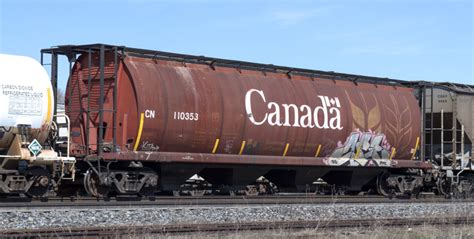 Distinctive Canadian Grain Hoppers Near End Of The Line Trains
