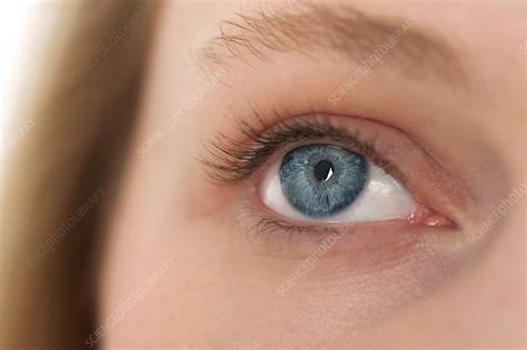 woman s eye stock image c014 1234 science photo library