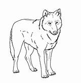 Coloring Wolf Pages Realistic Arctic Print Clipart Mexican Animal Wolves Getcolorings Deviantart Drawings Sheets Printable Designlooter Animals Color Getdrawings Clipground sketch template