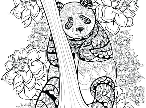 ideas  panda coloring pages  kids home family style