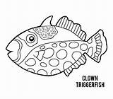 Triggerfish Clown sketch template