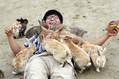 rabbit island japan tourists queue up to be smothered in