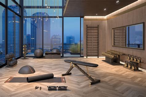 transform  home gym   luxury oasis  pent fitness
