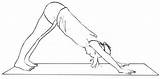 Mukha Adho Svanasana Yoga Surya Poses Namaskara Bobby Clennell Iyengar Drawn Started sketch template