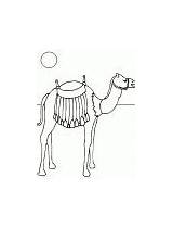 Camels Camel sketch template