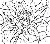 Color Number Adults Coloring Pages Difficult Getdrawings sketch template