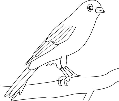 canary bird coloring pages canary bird coloring pages  place