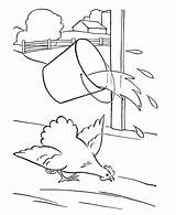 Coloring Pages Chicken Kids Farm Water Chickens Animal Library Clipart Bucket Sketch Honkingdonkey Popular Comments sketch template