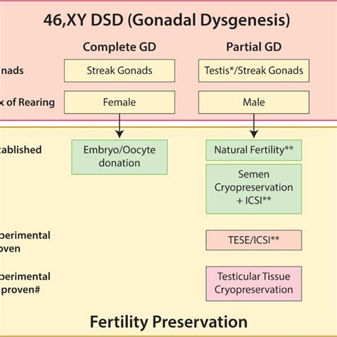 timeline of genes involved in gonadal development genes shown are