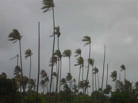 monsoon wind definition process type  impact
