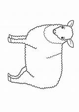 Sheep Coloring Print Pages Color Coloring2print sketch template