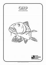 Coloring Carp Pages Cool Kite Animals Print Template sketch template