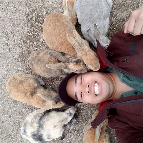 rabbit island invites visitors to feed and cuddle its