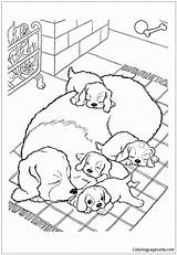 Dog Pages Pups Mother Coloring Color sketch template