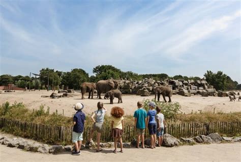 safaripark beekse bergen van der valk hotel  hertogenbosch vught