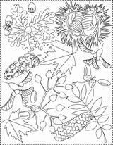 Coloring Autumn Pages Nicole sketch template