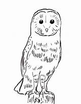 Owl Barn Coloring Printable Print Samanthasbell sketch template