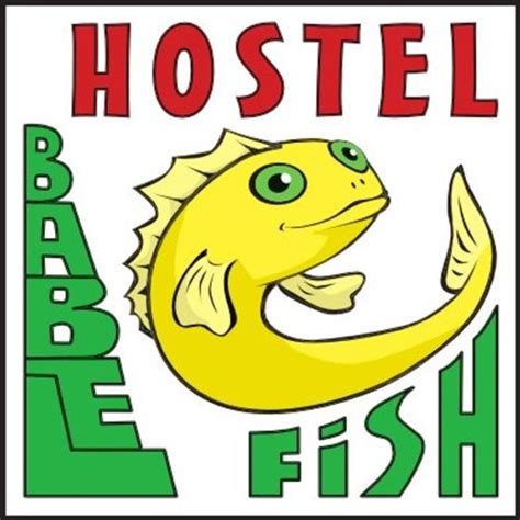 babelfish hostel wuerzburg  wurzburg germany find cheap hostels  rooms  hostelworldcom
