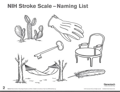 nih stroke scale pocket card ninds  stroke campaign