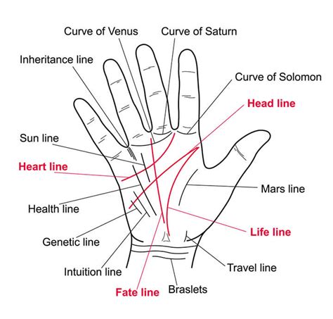 do you have an m on your palm here s what it means