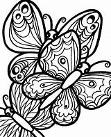 Coloring Adults Pages Print Big Butterflies Two Relaxing Printable Topcoloringpages sketch template