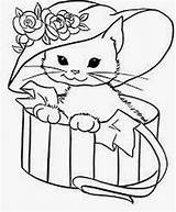 Colorat Pisici Pisica Planse Desene Animale Fise Copii Domestice Desen Pisicuta Kitty Mandale Pngitem Pisicute Usoare Creion Caini Desenul Cats sketch template