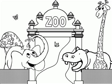 zoo coloring pages  kids coloring home