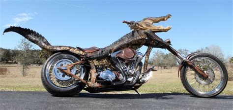 idea sirjigatorbike  alligator motorbike  helps  save pets