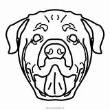 Rottweiler Colorare Kindpng Ultracoloringpages sketch template