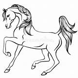 Cavallo Paard Arabo Cheval Arabe Arabisches Arabisch Schönes Pferd Kopf 阿拉伯 美丽 Stilizzata όμορφο 设置 Vectorified Beau sketch template