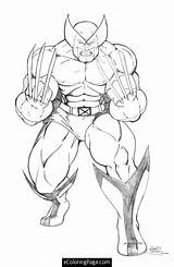 Wolverine Coloring Pages Marvel Cartoon Choose Board Superhero Kids Avengers Hulk sketch template