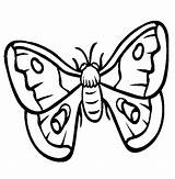 Moth Coloring Pages Drawing Color Insect Online Animals Template Animal Death Line Print Clipart Sheets Clipartmag Templates Thecolor Back Getdrawings sketch template
