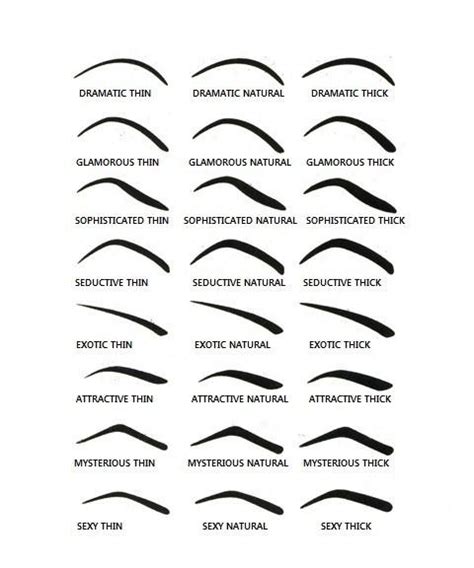 eyebrow stencils types  eyebrows eyebrow stencil eyebrow shape