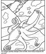 Octopus Pulpo Polvo Polvos Tudodesenhos Pintarcolorir Pintando sketch template