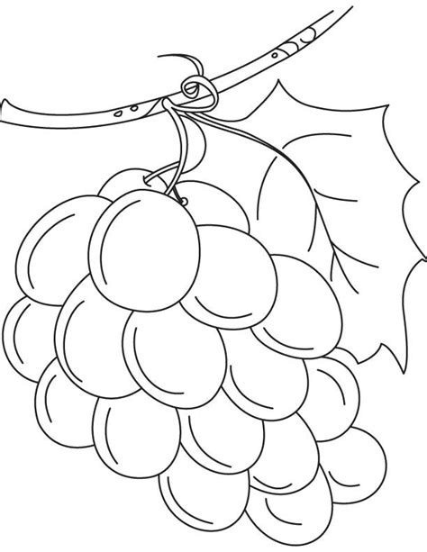 water  wine coloring pages coloring home