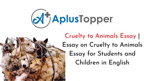 cruelty  animals essay essay  cruelty  animals essay