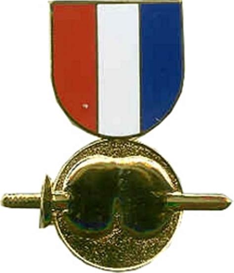 Pain In The Ass Medal Large Pin Military Uniform Supply Inc