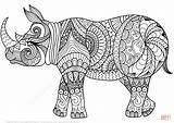 Mandalas Mandala Zentangle Rhinocéros Supercoloring Rinoceronte Neushoorn sketch template