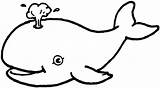 Baleia Whale Categorias sketch template