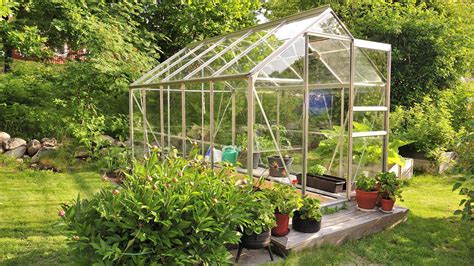 greenhouses    popular trend build magazine