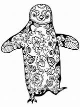 Coloring Pages Penguin Adults Zentangle Adult Printable Color sketch template