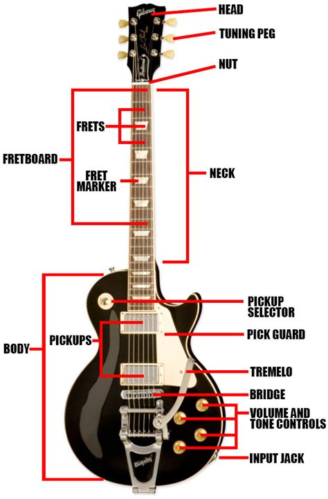 electric guitar parts diagrams definitions