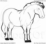 Horse Strong Outline Clipart Coloring Illustration Royalty Rf Lal Perera sketch template